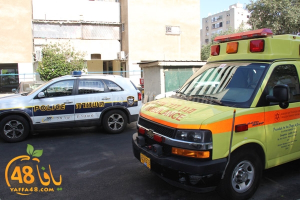 fall from above (2).JPG